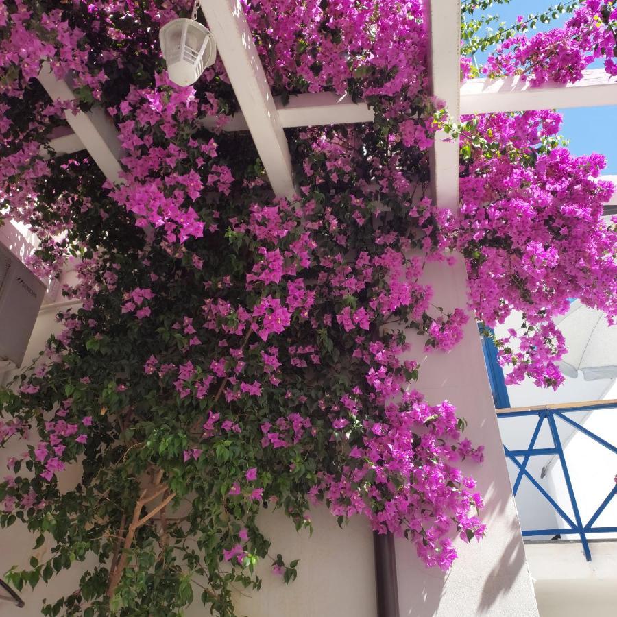 B&B Sognando Vietri E Spa Esclusiva อาแวร์ซา ภายนอก รูปภาพ